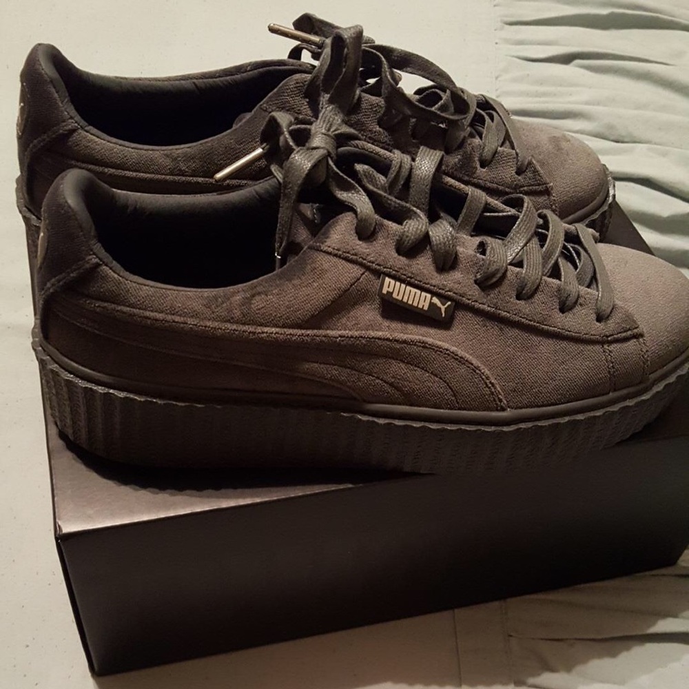 Grey fenty creepers